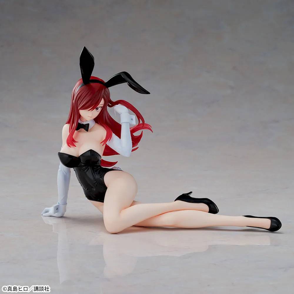 Fairy Tail: Erza Scarlet - Yumemirize