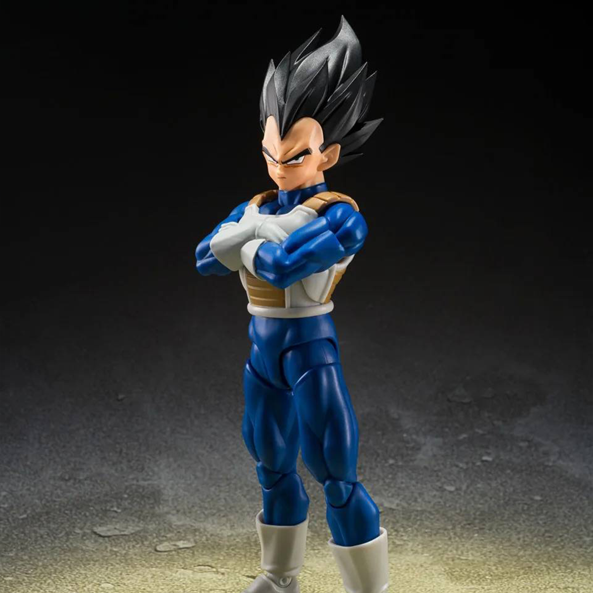 S.H.FIGUARTS: Dragon Ball Z-FIGHTERS - Vegeta